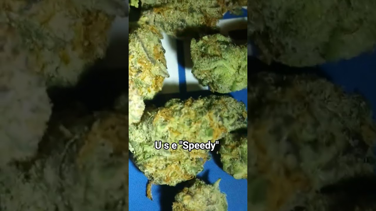 Garlicane 🔥 from Canna Cured 🎄🎄 THCA FLOWER REVIEW 💯💯 #CannaCured