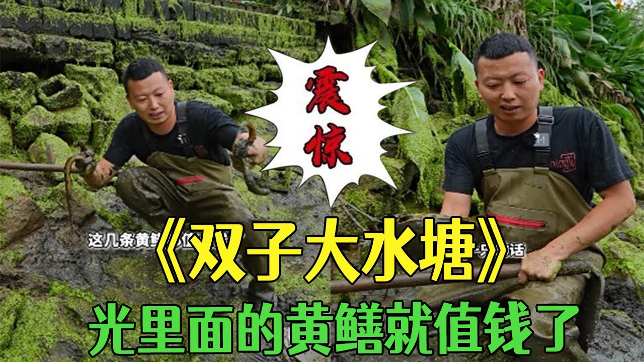 花1000包下壹口雙子大水塘，光裏面的黃鳝就值點錢了  #三農 #新農人計劃2025#鄉村守護人 #戶外 #小飛哥#包塘