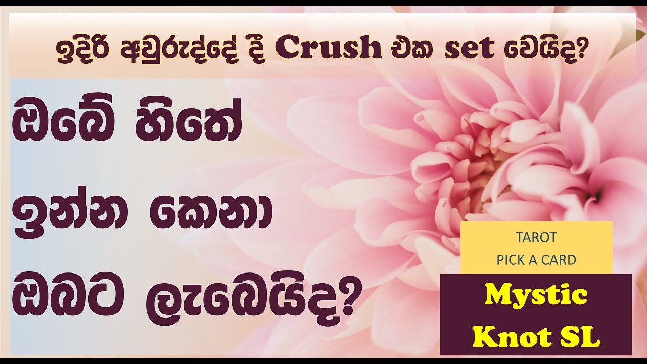 මේ අවුරුද්දේ දී හිතේ ඉන්න කෙනා ලැබෙයිද? | Crush eka set weida | #tarot #pickacard #love