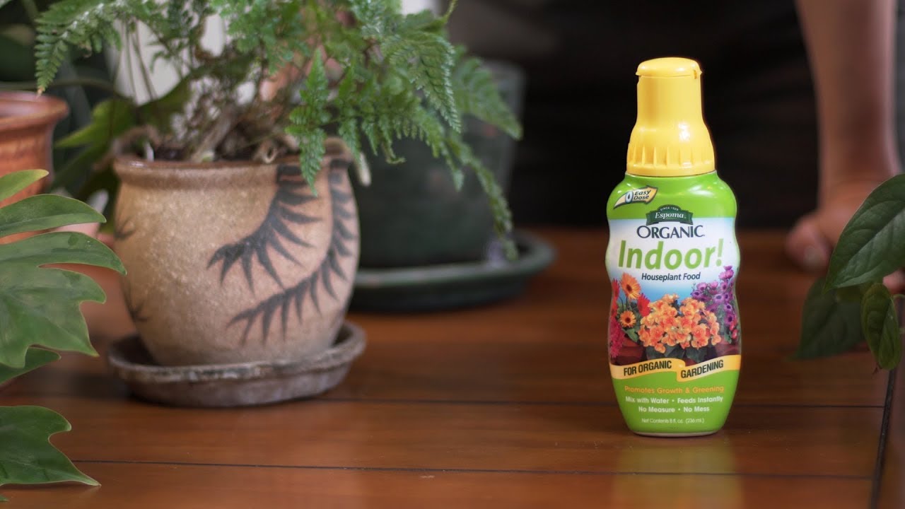 How to Fertilize Houseplants with Homestead Brooklyn