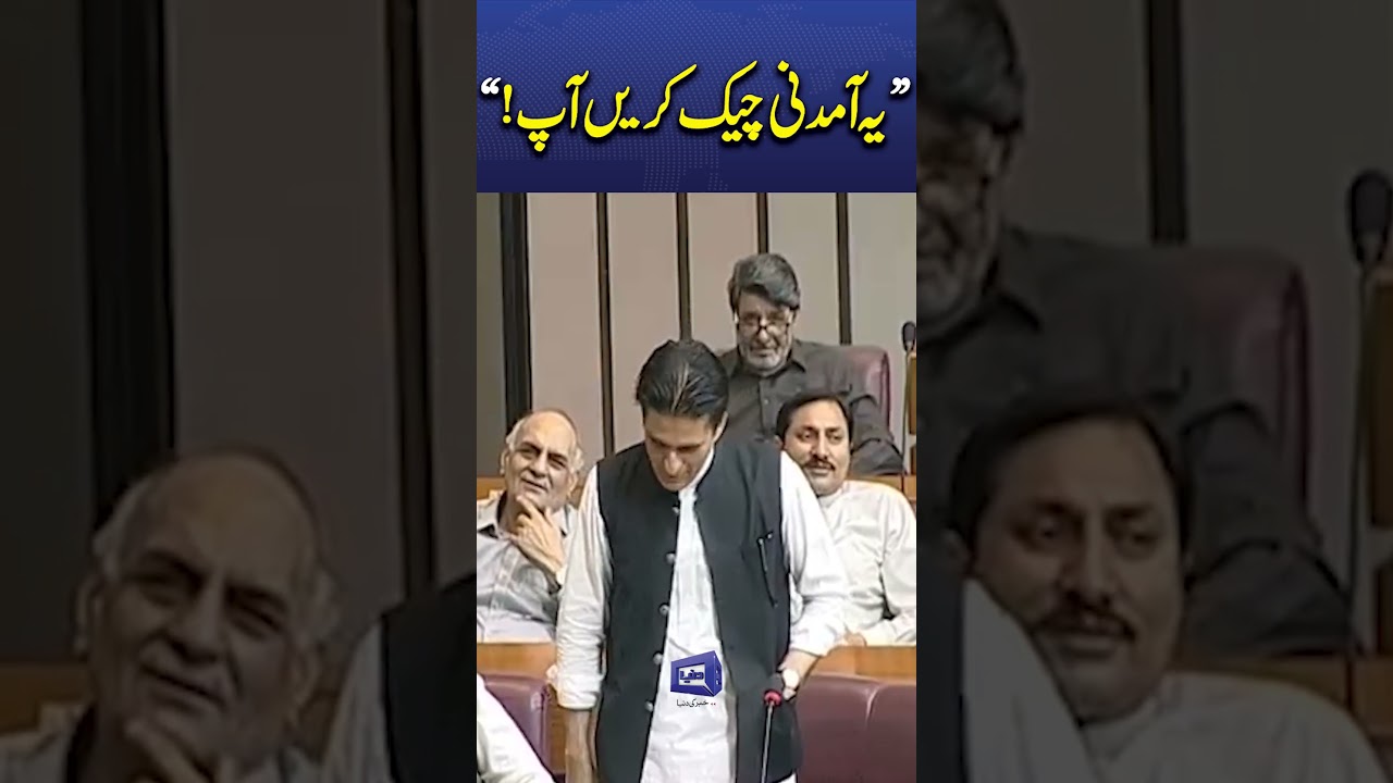 PTI Leader Questions Government Over Budget 2026-27 in Parliament #trendingnews #viralshorts
