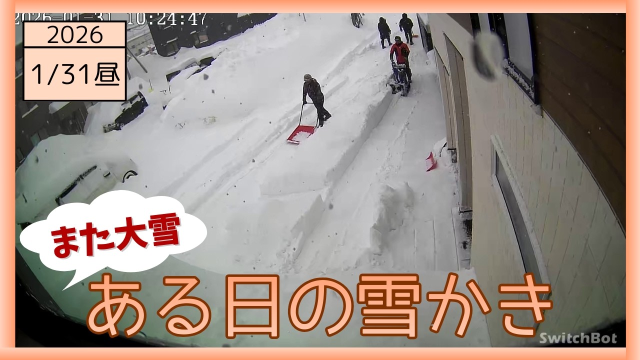 2026-01-31 昼の雪かき また大雪