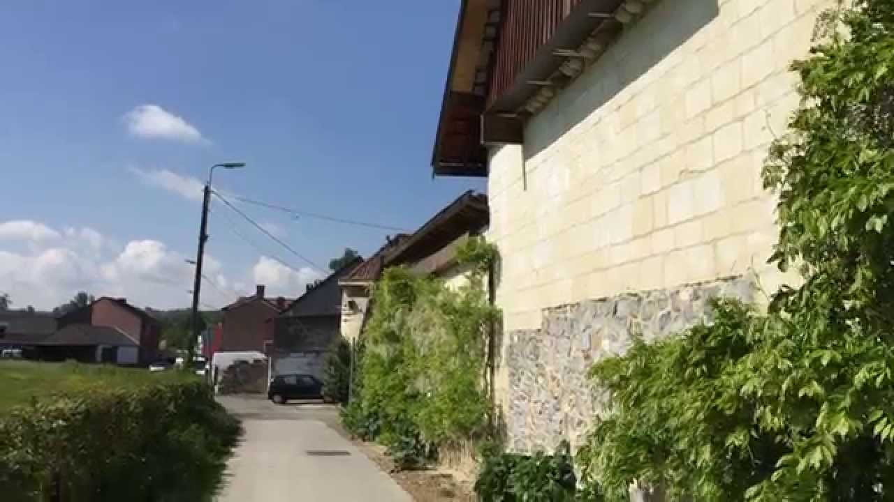 hirondelles , 21/05/ 2015 un miracle ici de plus en plus d'hirondelles , la vallée du Geer