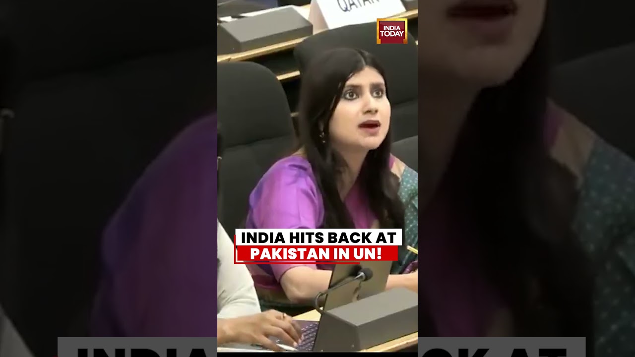 India Gives Powerful Reply to Pakistan and OIC at United Nations #pakistan #india #loc #kashmir