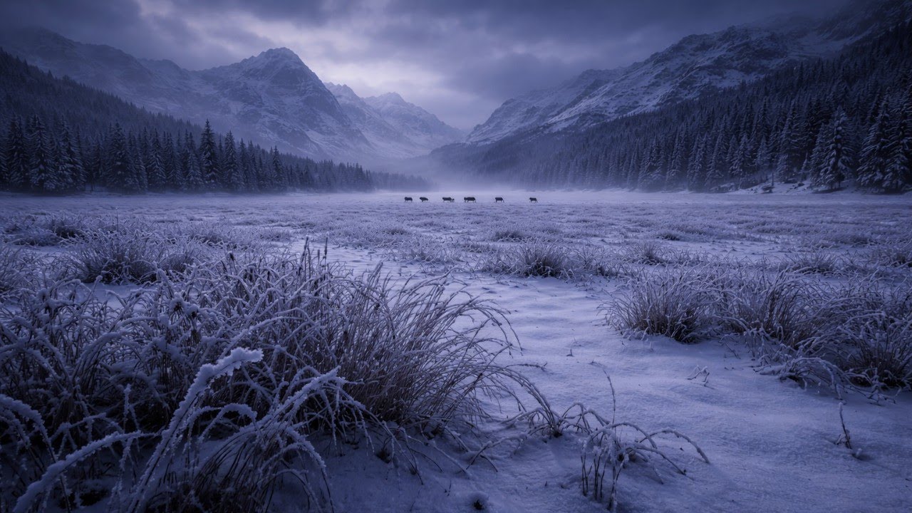 Lofi Slow Evening Soundscape for Deep Relaxation