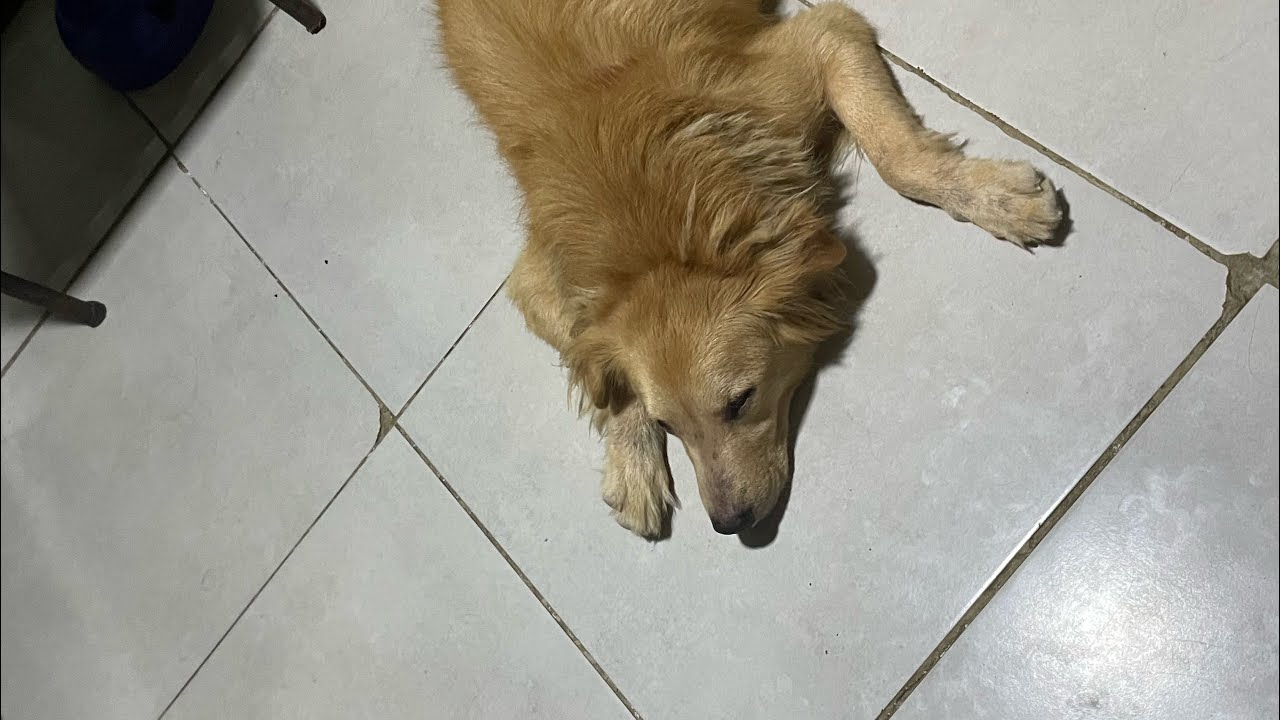 Além de min,+ rival(o)ser amado(a), tem mais alguém  ???