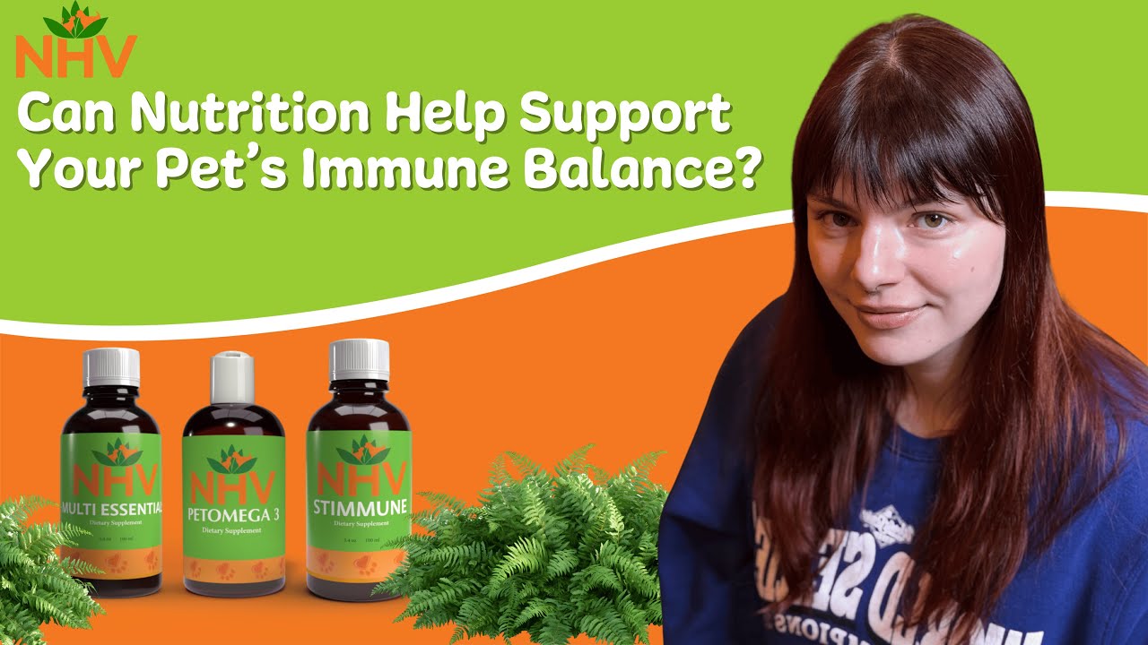 Может ли правильное питание помочь поддержать иммунный баланс вашего питомца?