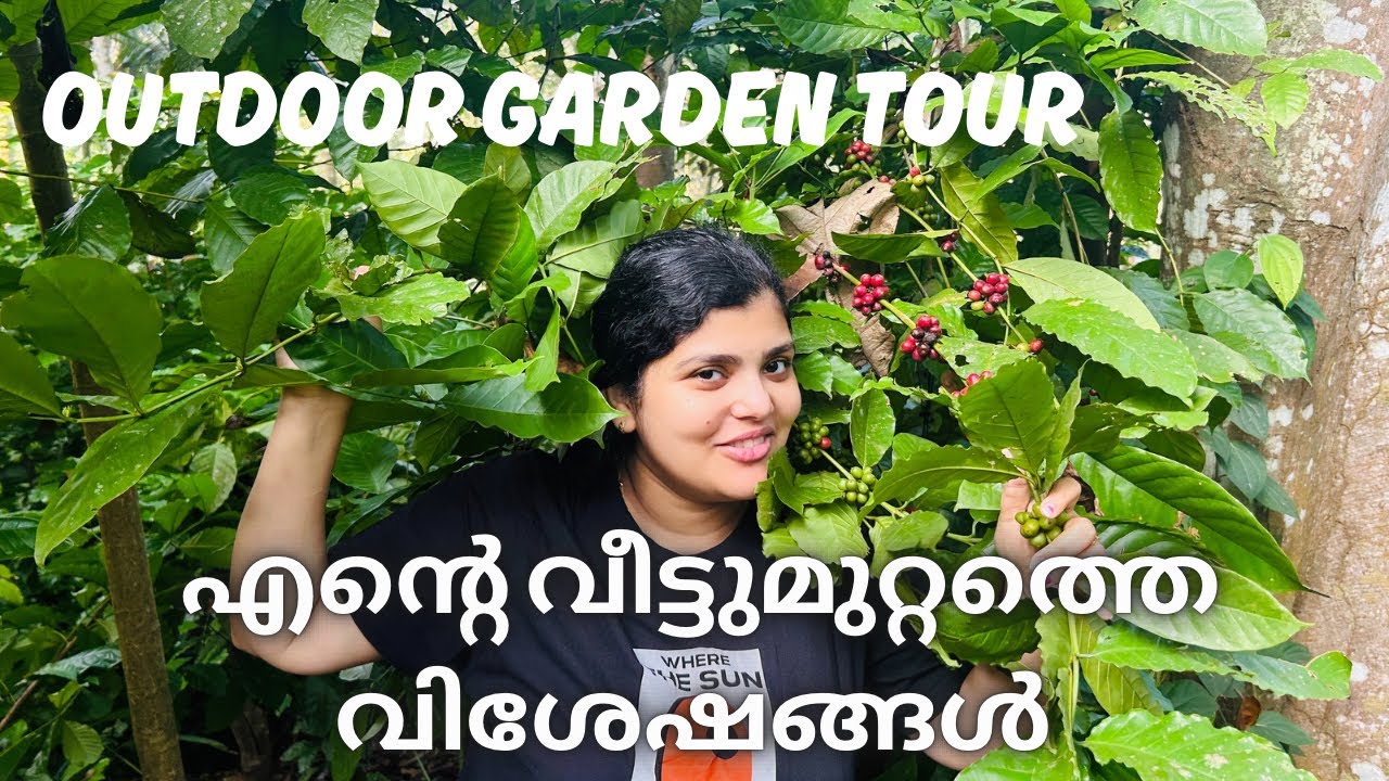 Outdoor garden tour malayalam | outdoor plants | home care | വീട്ടുമുറ്റത്തെ വിശേഷങ്ങൾ