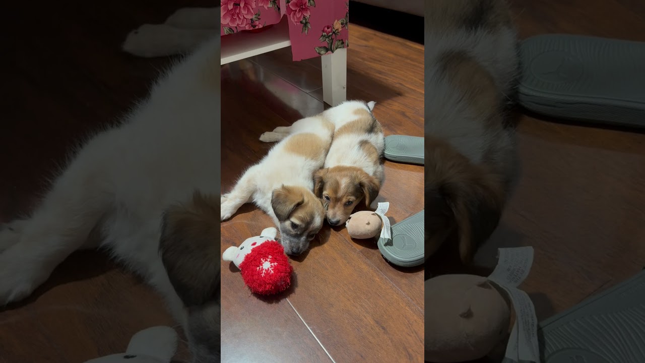 Times to sleep 🩷💕🩷💕🩷💕🩷💕🩷💕🩷💕🩷💕🩷💕🩷💕