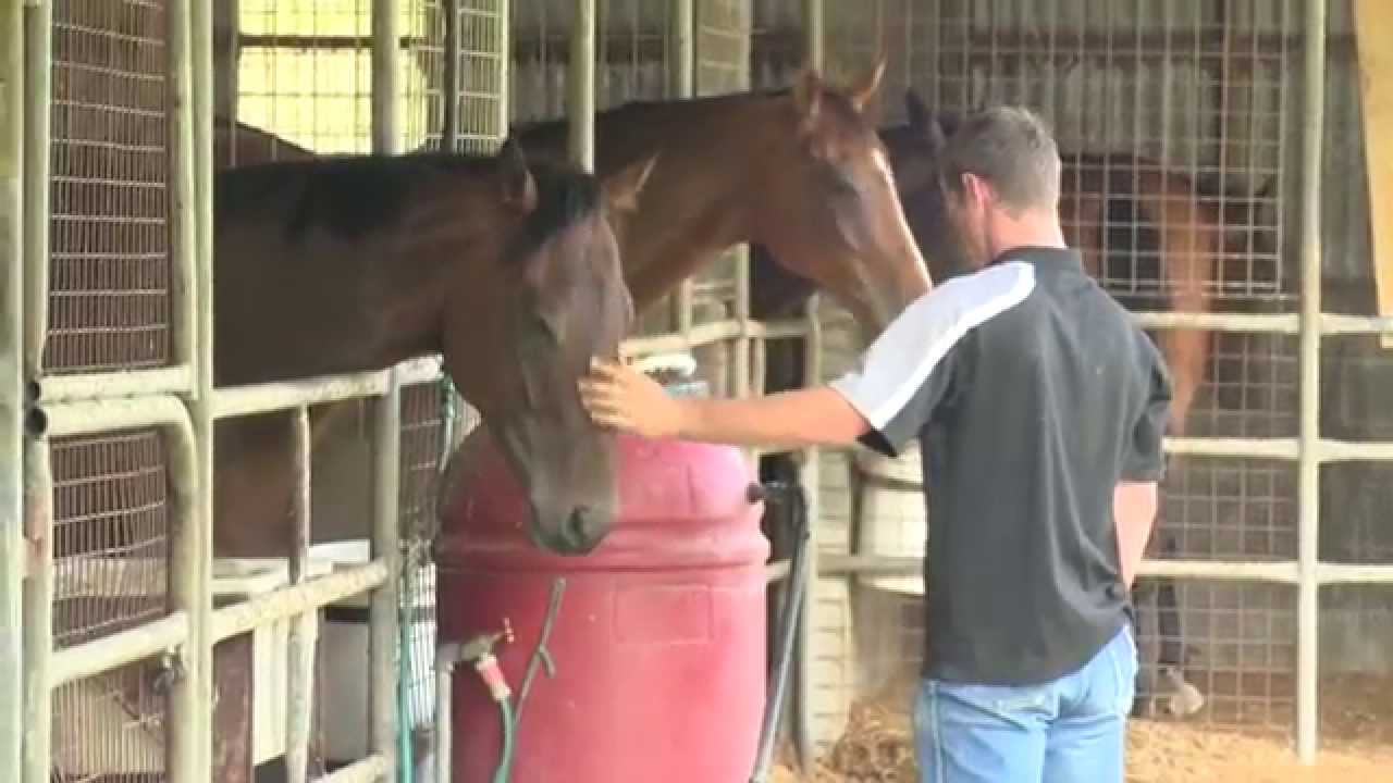 Horse Racing Careers