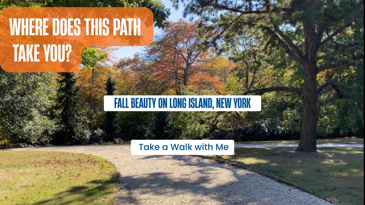 Nature Walk / Bayard Cutting Arboretum / Great River / Long Island / New York 