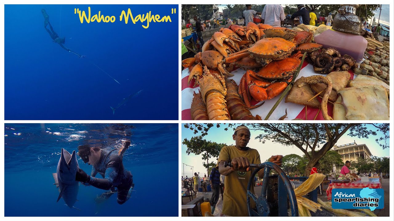 Spearfishing Zanzibar - ASD 