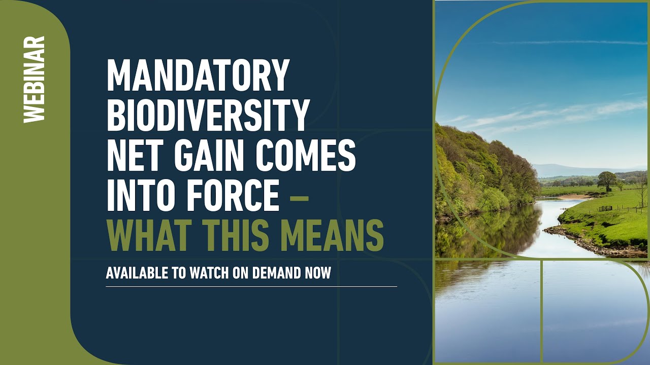 WEBINAR | Mandatory Biodiversity Net Gain comes into force – what this means