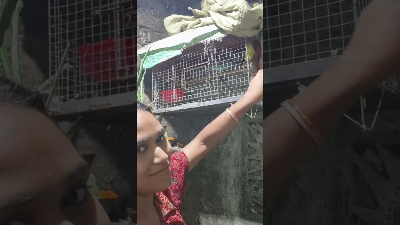 বড় বাজারে গিয়ে যা দেখলাম 😭🥺😱
