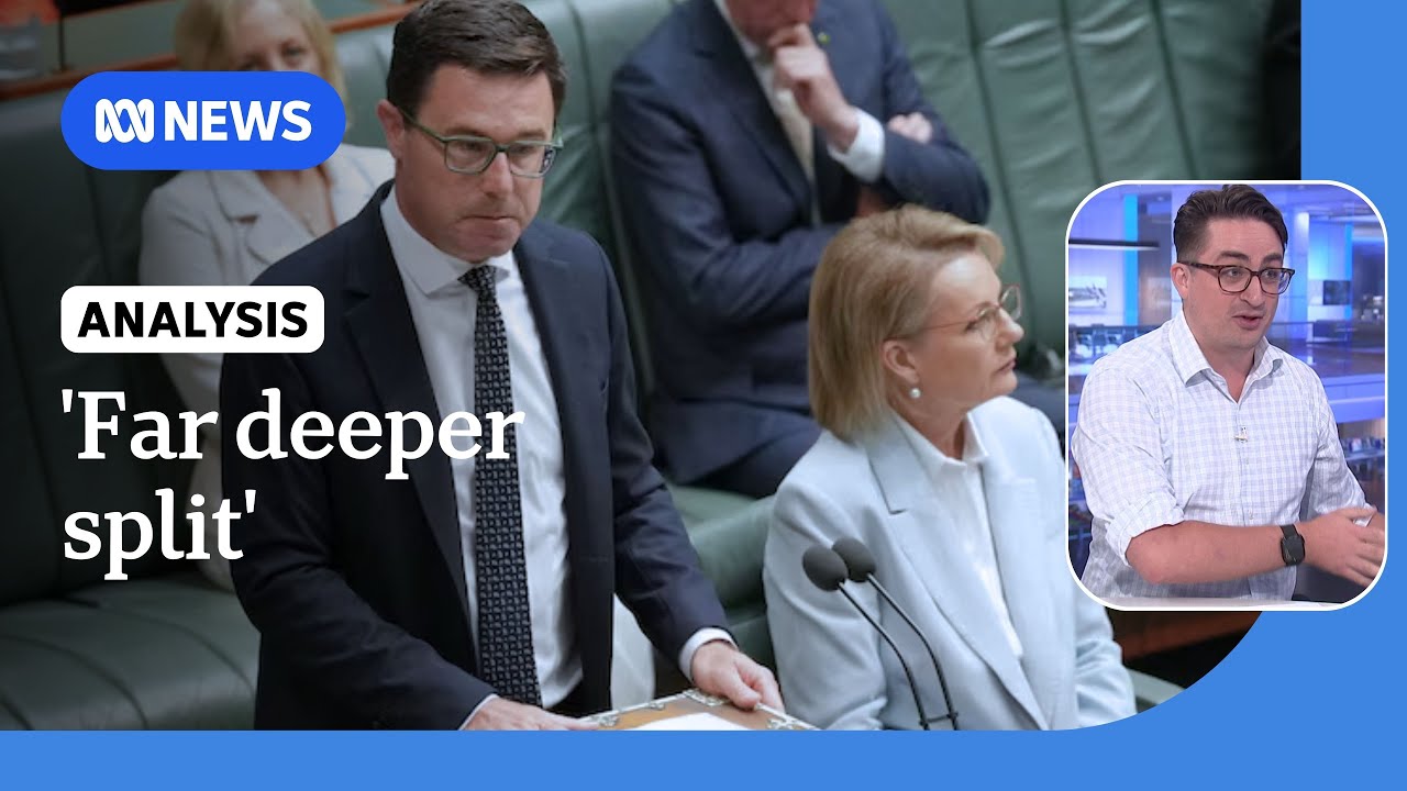 Second Coalition split could benefit One Nation polling, analyst says | ABC NEWS