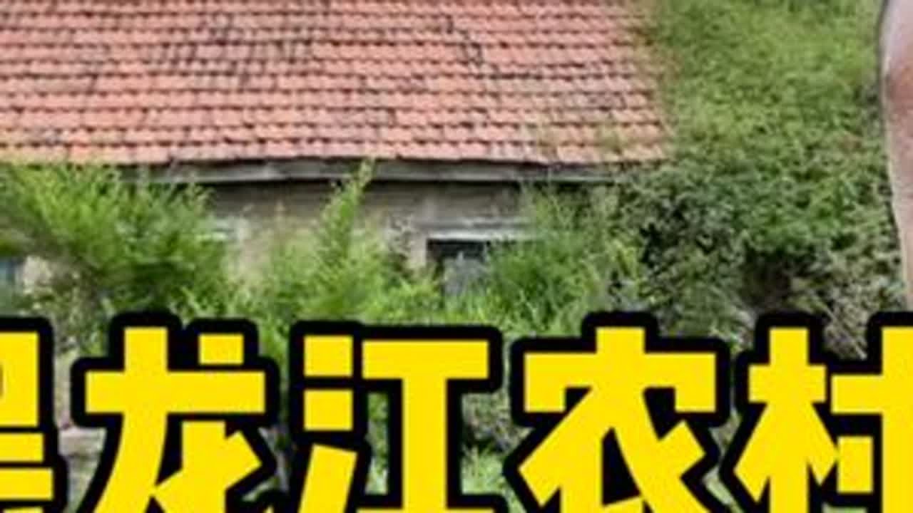 带大家看看黑龙江东南部的农村！ #我的乡村生活 #农村 #农村生活