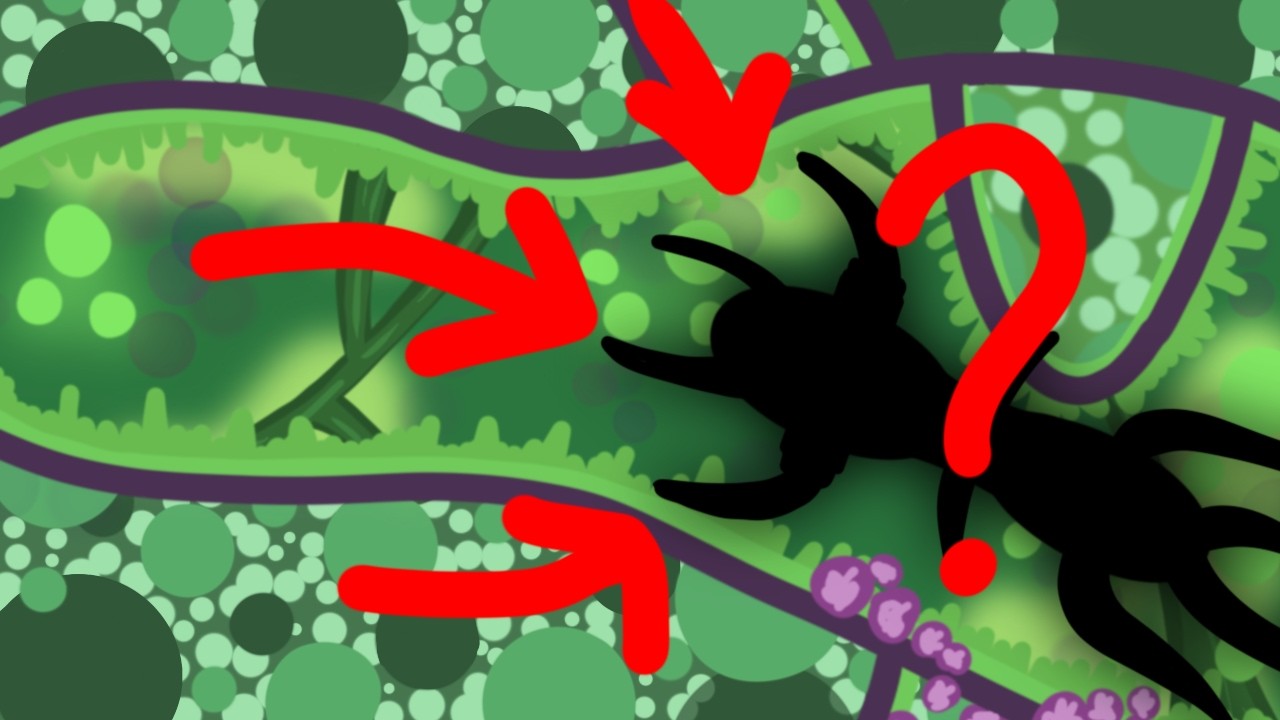 You've Been Diagnosed with a Laser-wielding Virus | Pathogenic