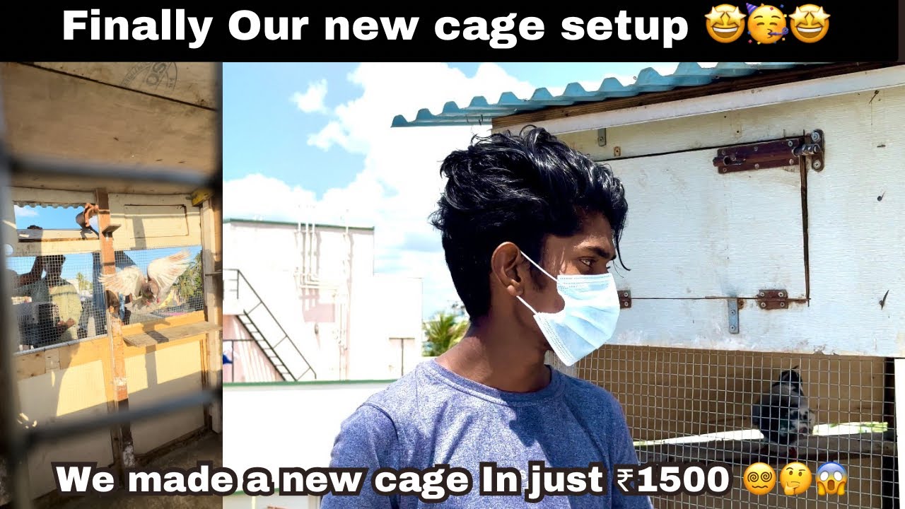 இவ்ளோ கம்மி ரேட்ள கூட cage செய்யலாம 😵‍💫😱⁉️| our new cage setup  ₹1500 | #tamil #cagesetup #homerpegi