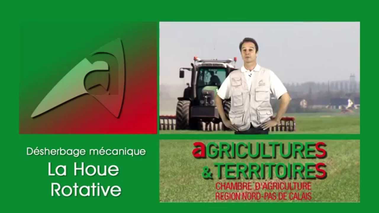 Film houe rotative