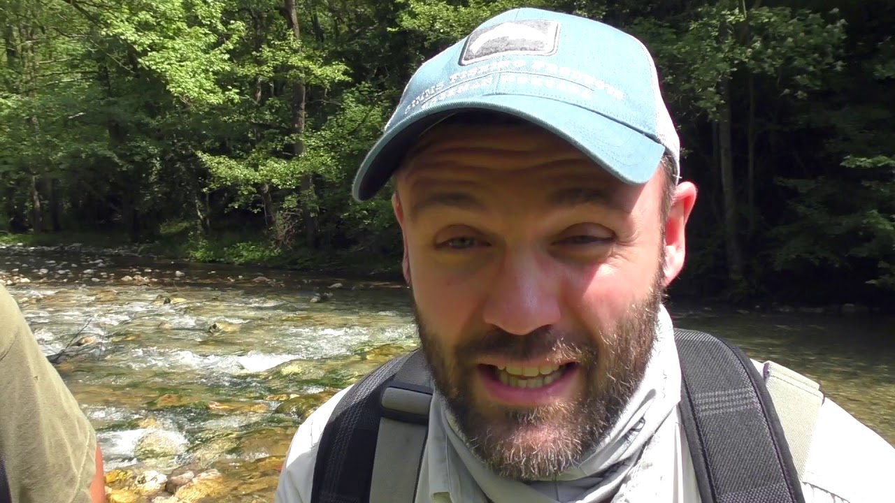 Сербия, река Градац - рядом с городом Валево