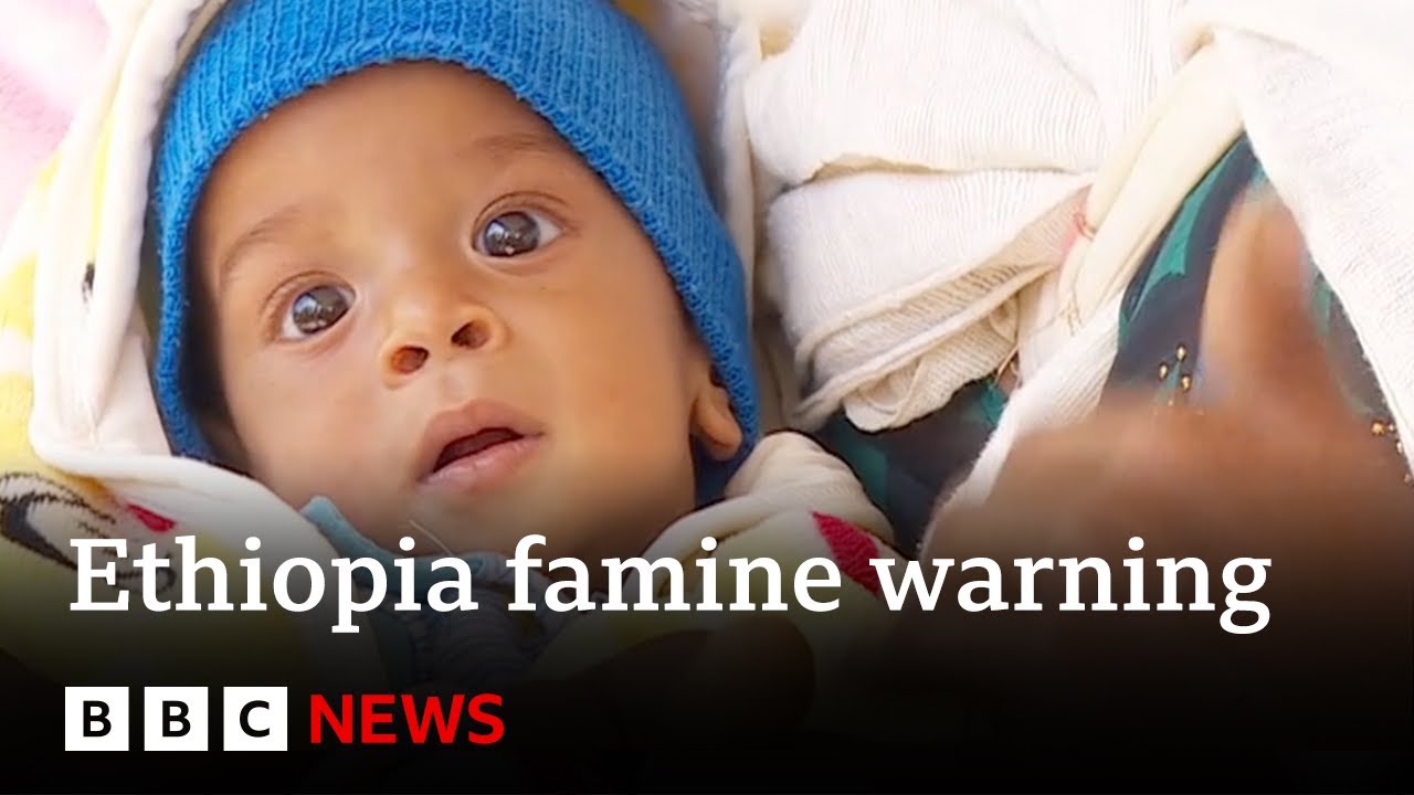 Ethiopia: UK warns of food crisis triggered by war and drought | BBC News