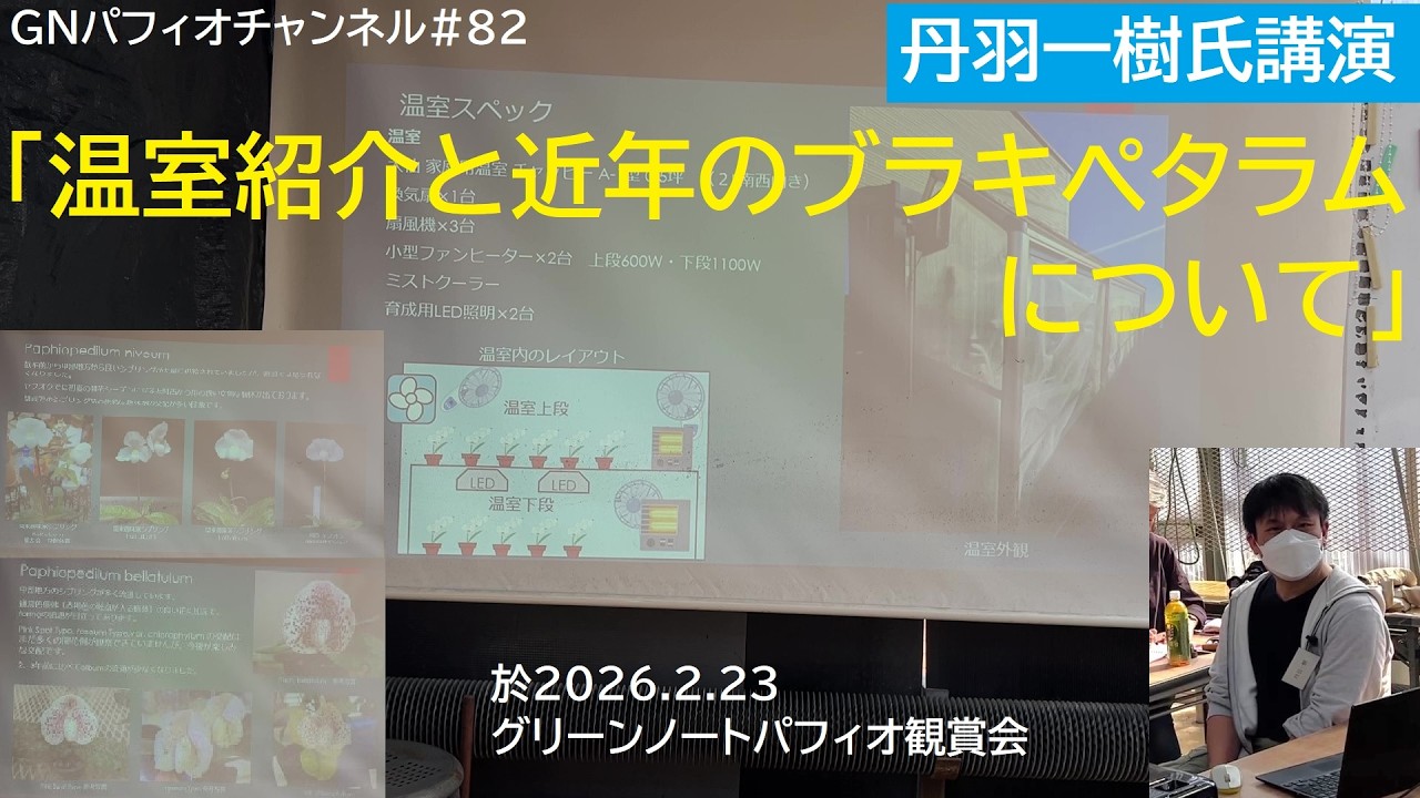 #82 温室紹介とブラキペタラムについて