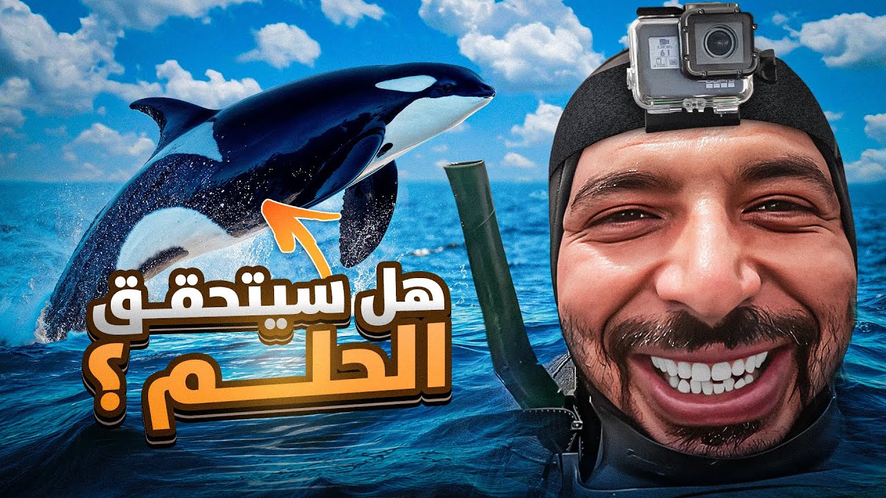 مغامرة الصيد بالرمح تحت الماء 🤿 والبحث عن حيثان الاوركا  ‼️Vlog1