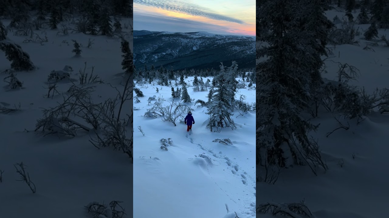 Walking Into the Wild &mdash; Deep Snow, No Fear #AlaskaAdventure #SnowHiking