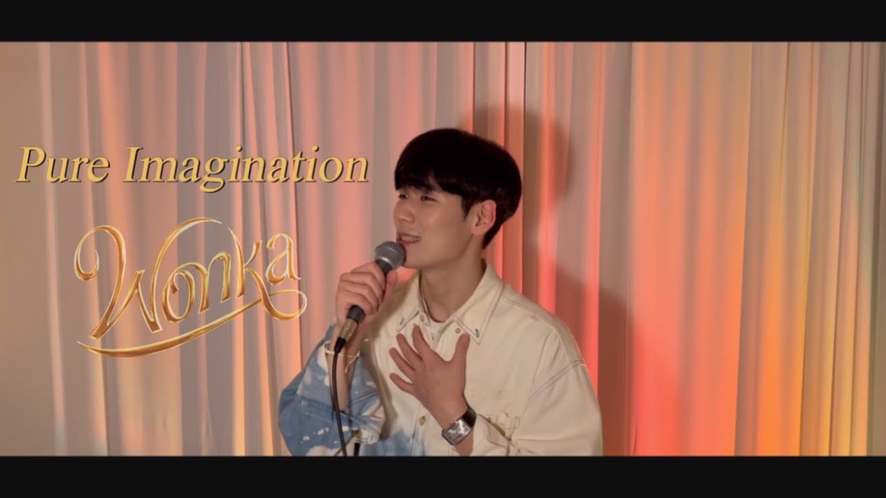 Pure Imagination (Wonka OST)- Timothee Chalamet cover