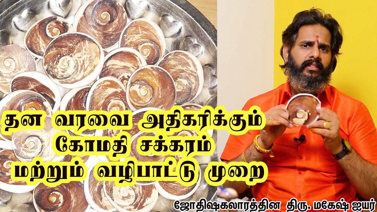 தன வரவை அதிகரிக்கும் கோமதி சக்கரம் |கோமதி சக்கரம் வழிபடும் முறை! Aanmeega Thagavalgal | Magesh Iyer