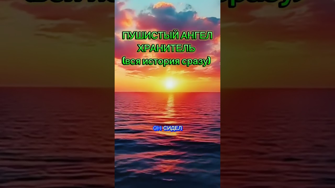 Пушистый ангел хранитель (вся история сразу) #жизненныеистории #историиизжизни #рассказ