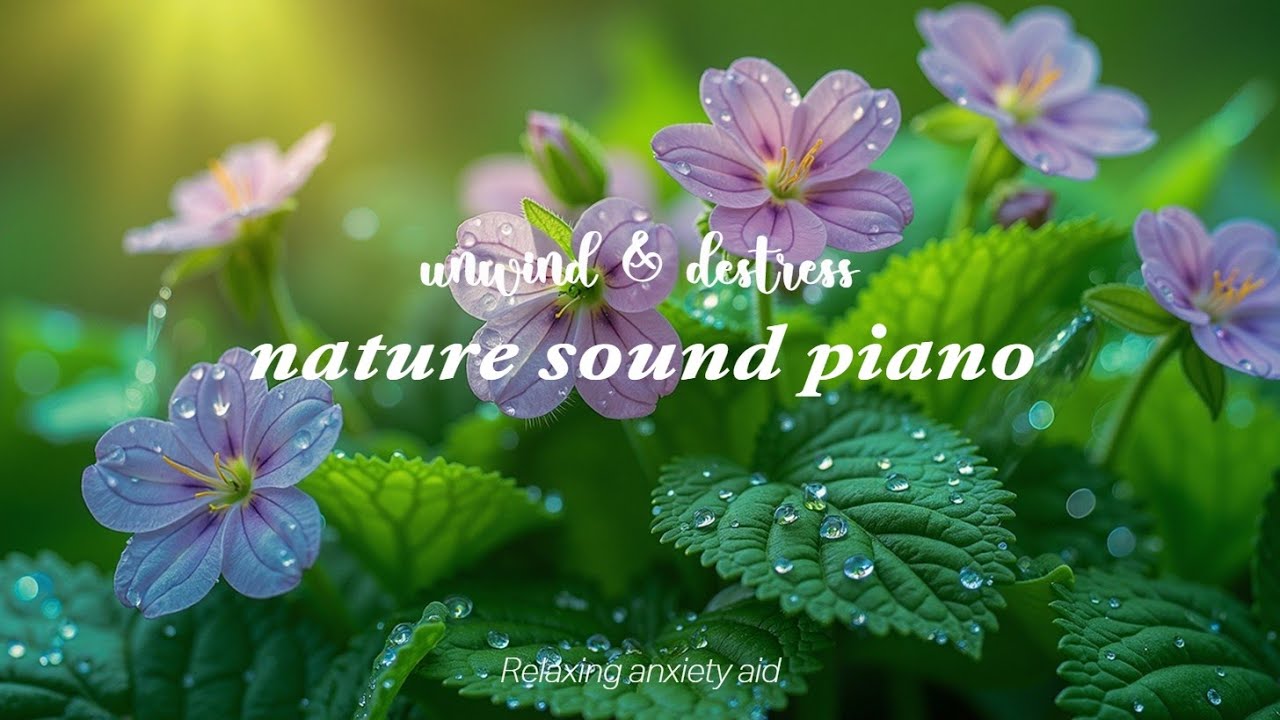 Расслабляющая фортепианная музыка для глубокого сна и безмятежного снятия стресса | Спокойные сны