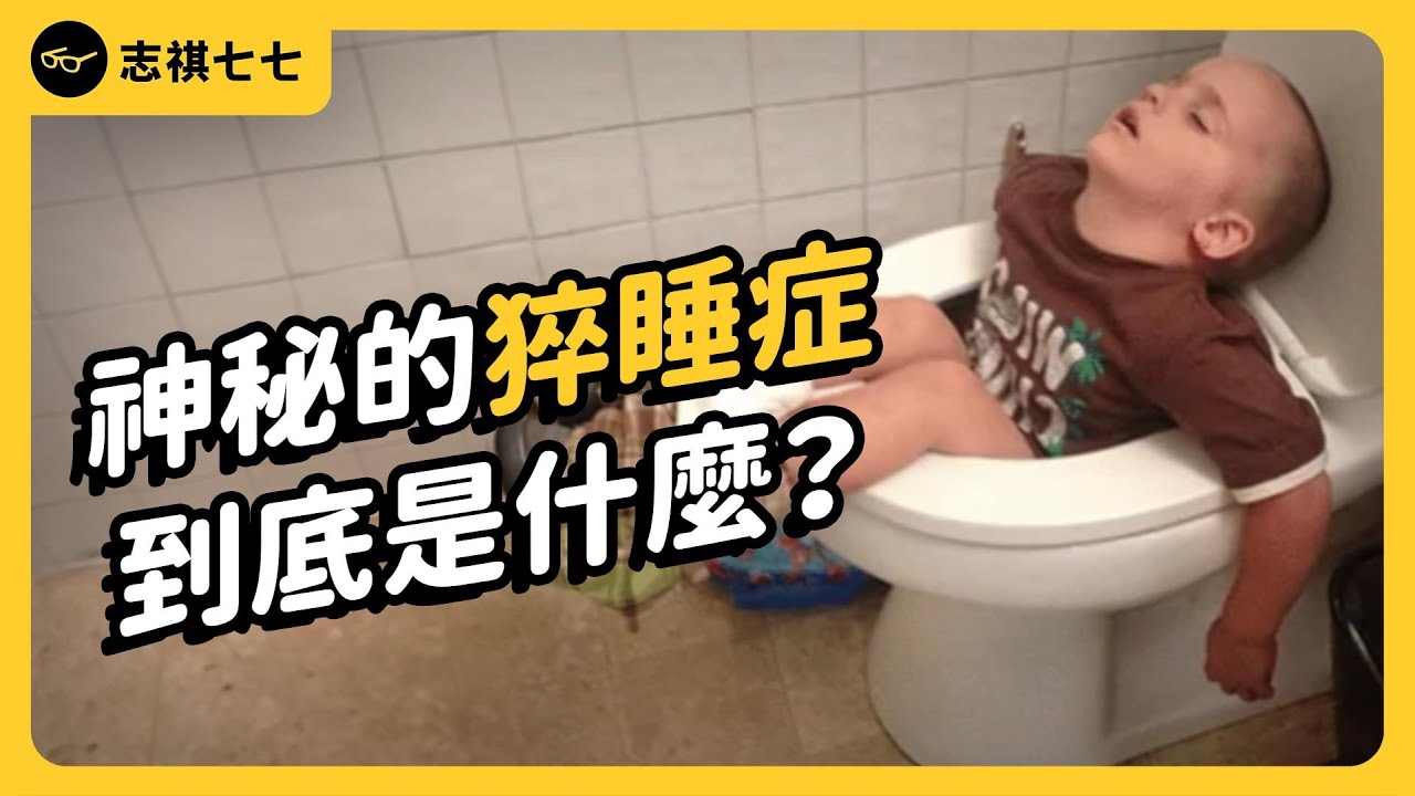 不管睡多久還是好睏、一躺下就秒睡！這樣就是得到「猝睡症」了嗎？人到底為什麼會一直嗜睡？｜志祺七七