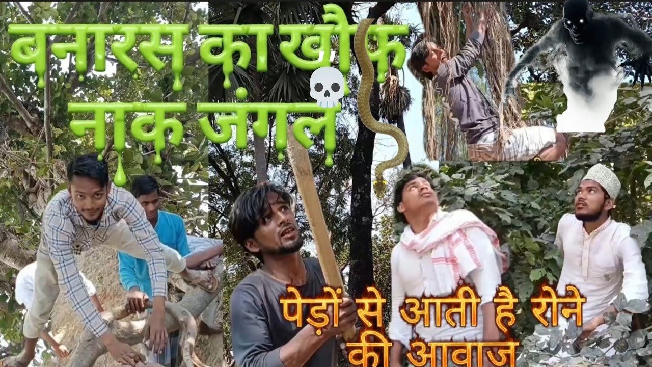 कोटवा, बनारस का खौफनाक जंगल# 💀👽🐍🦎🦮#viralvideo #juorny  जहा आती है पेड़ों से रोने की आवाज #team 