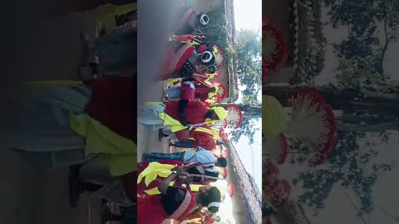 पंचायत भदवाही विकास खण्ड उदयपुर जिला सरगुजा टीम की शानदार प्रस्तुति 