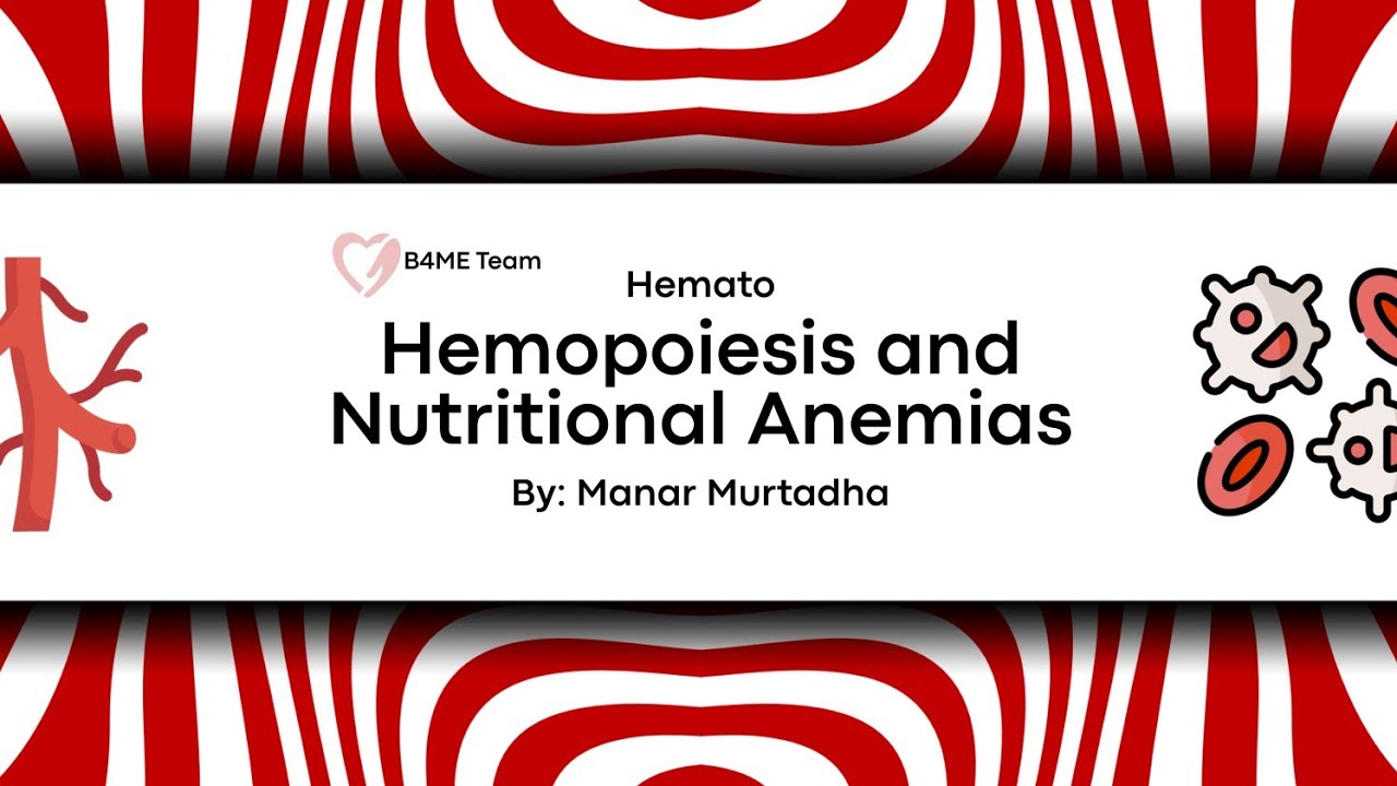 HEMATO | Hemopoiesis and Nutritional Anaemias P1