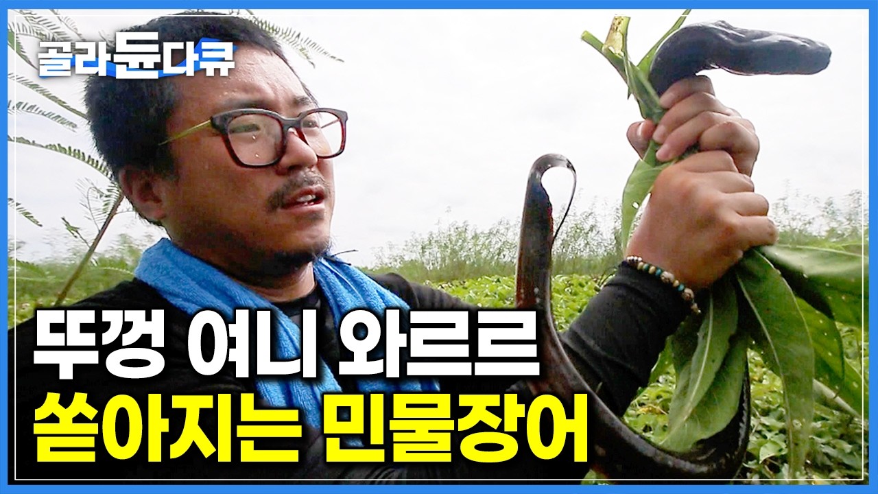 심상치 않은 소리에 열어보니 와르르 쏟아지는 민물장어! 손쉽게 대물 잡는 장어 낚시법｜캄보디아 톤레사프 호수｜세계테마기행｜#골라듄다큐