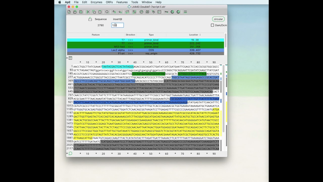 ApE Tutorial Video #1 - Opening and working with files