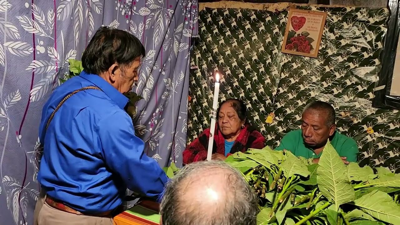 Fiesta Anual en San Miguel el Progreso Honor a Divino Salvador Promesa familiar Flores Cano 2026