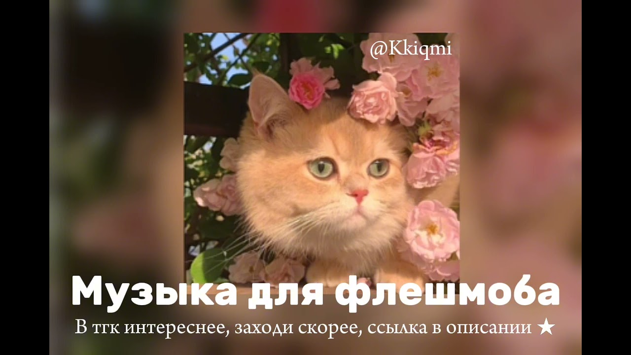 Музыка для флешмоба ❀ || ссылка на тгк в описании ⬇️ || от @KKIQMI