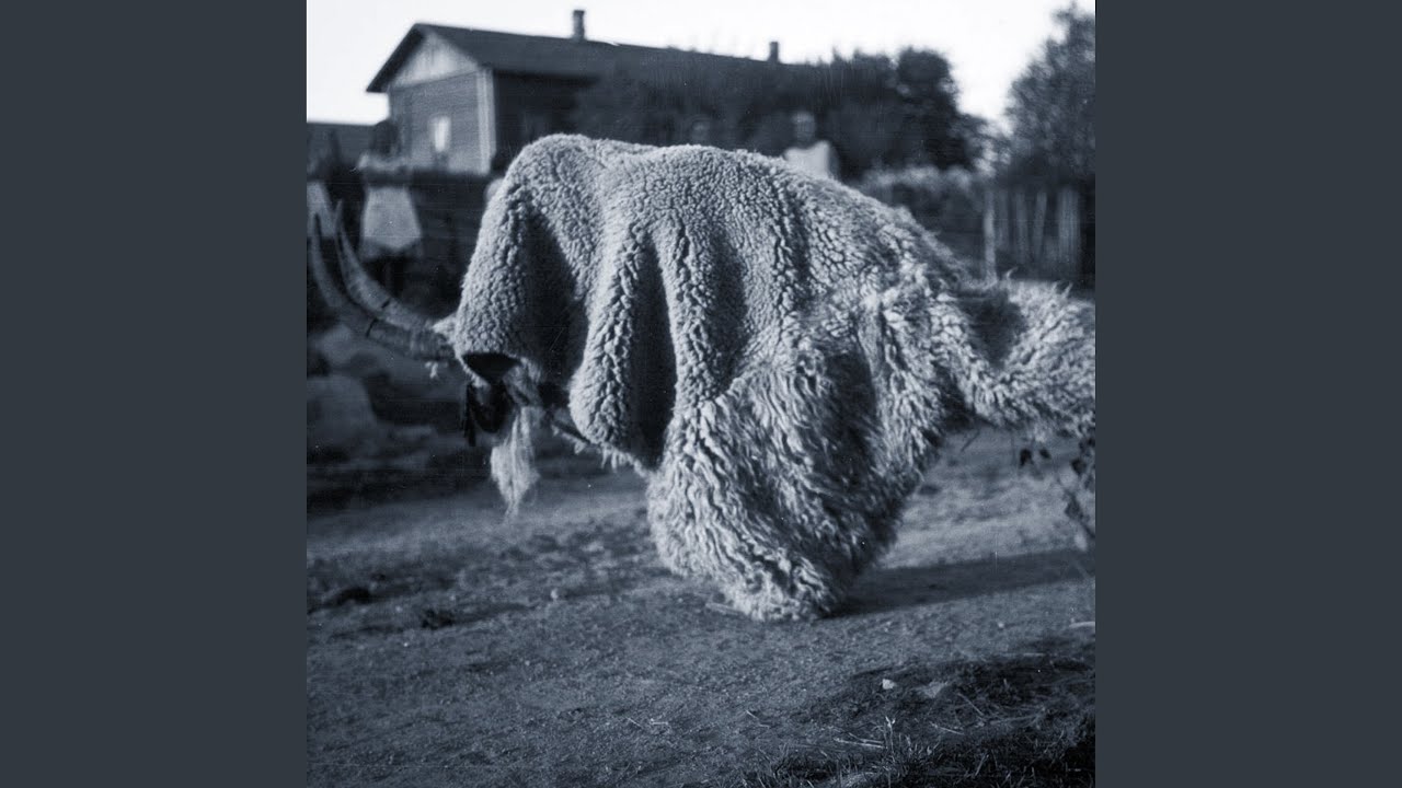 Acervo
