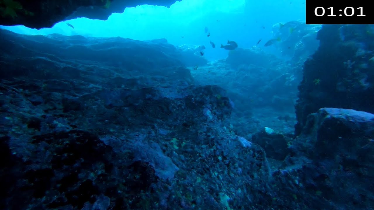 Pesca submarina invierno 2022. Inhala conmigo