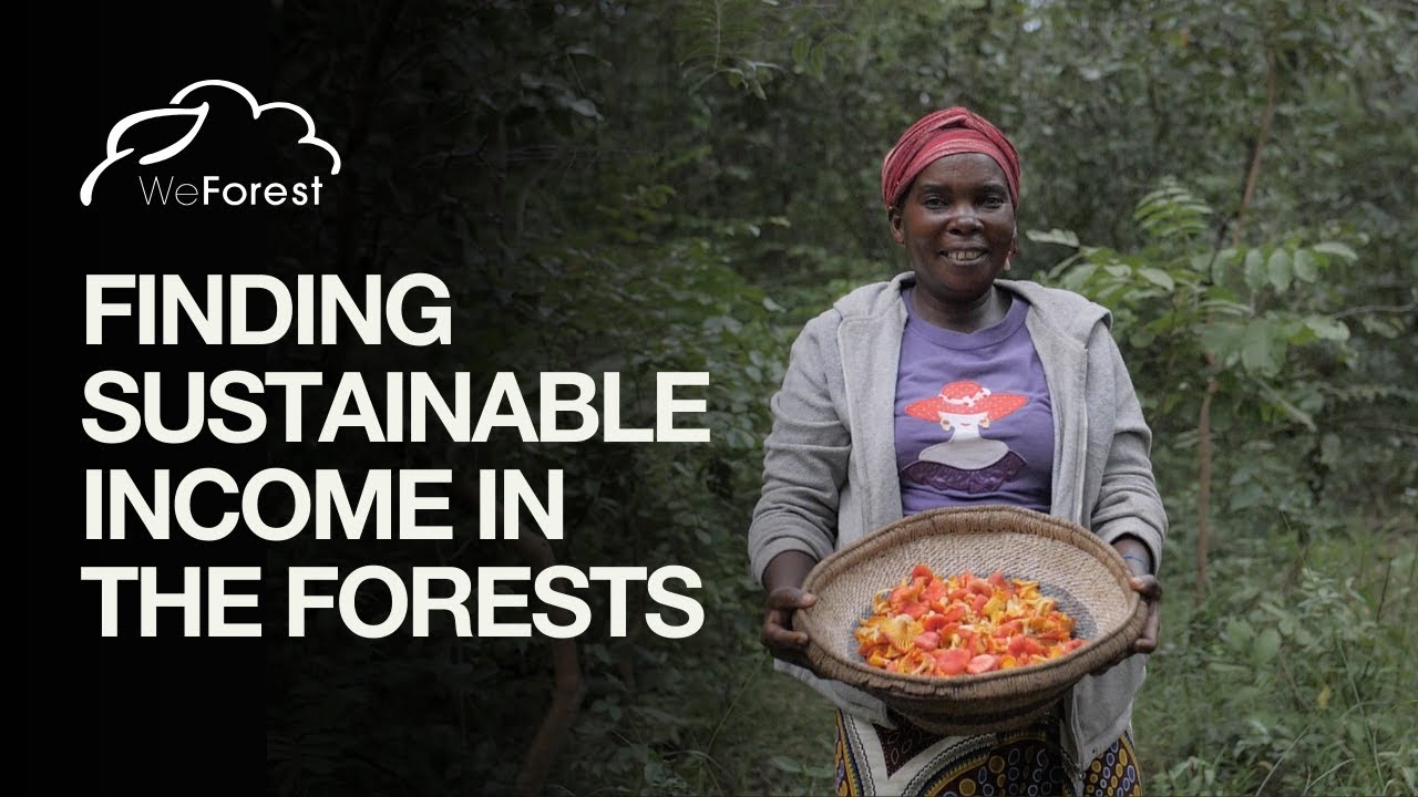 WeForest in Zambia: Restoring forests through community ownership and forest-friendly businesses