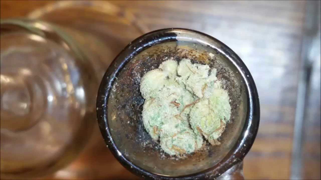 MELTSHOT MADNESS DYNASTY OG!!!!!