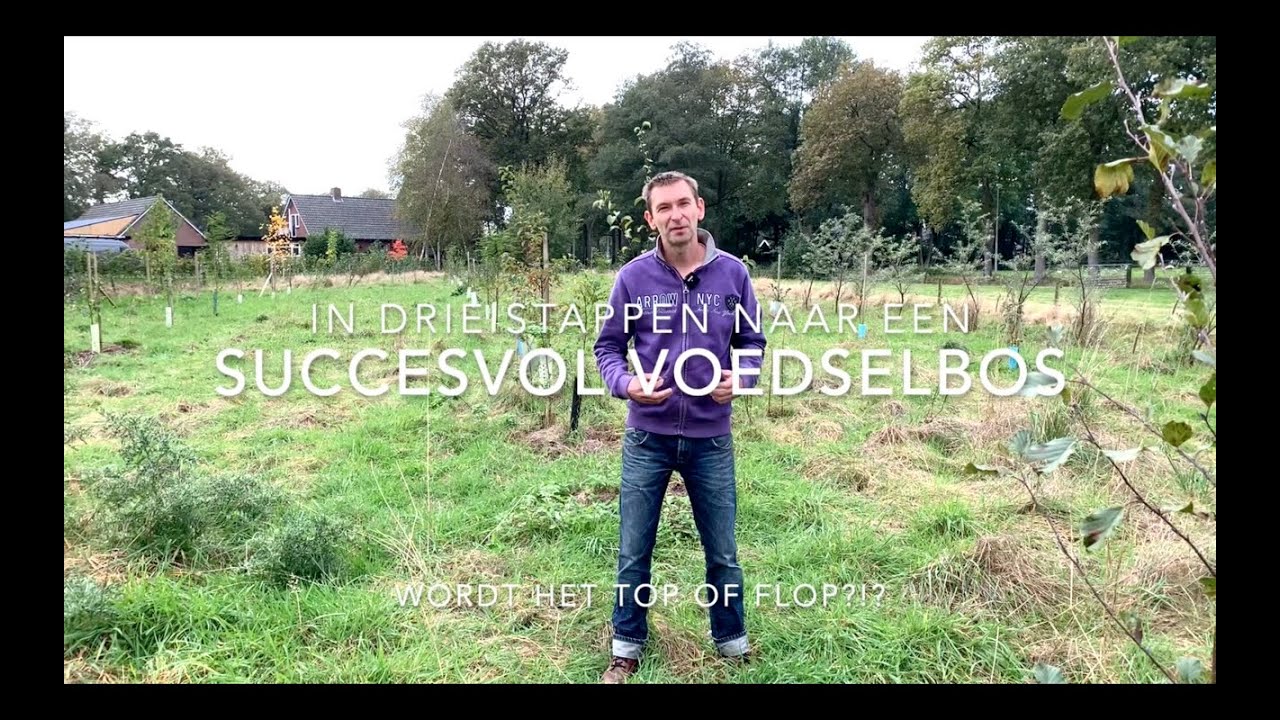 3 stappen naar een succesvol voedselbos