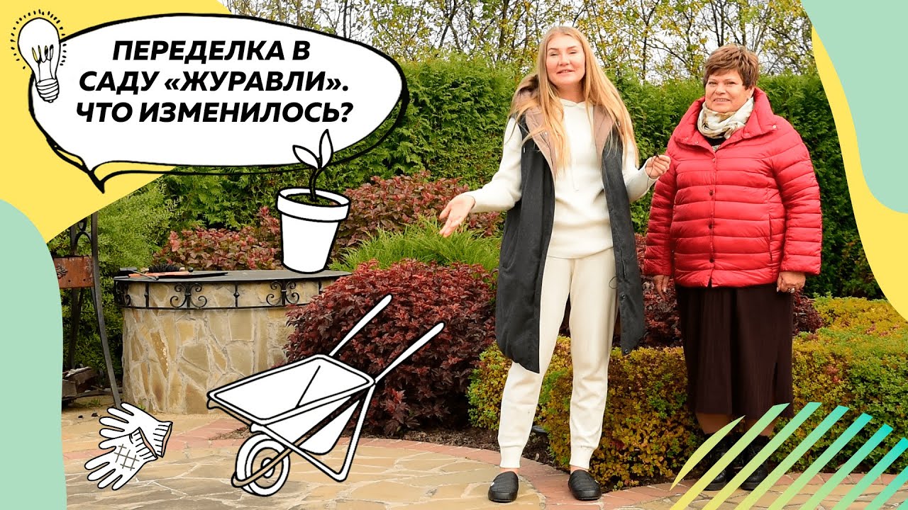 Обзор сада Журавли осенью | Малоуходный сад | Изменения в саду | Пузыреплодники | @leskovo.pitomnik