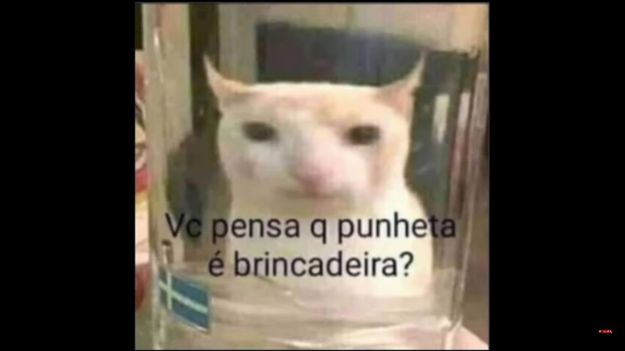 COMPILADO DE SHITPOST MEMES #243