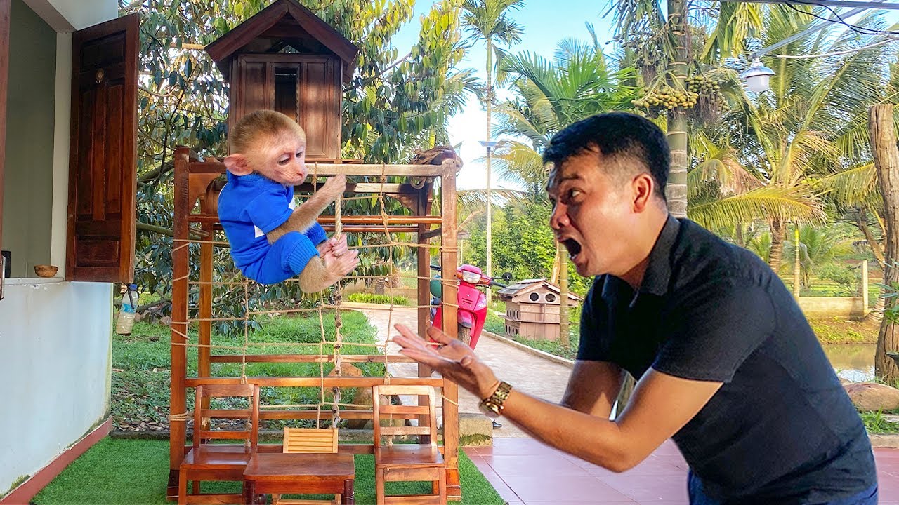 Dad Hung Makes A New Play Frame For Jobi 🐒 | The Reaction Is So Adorable