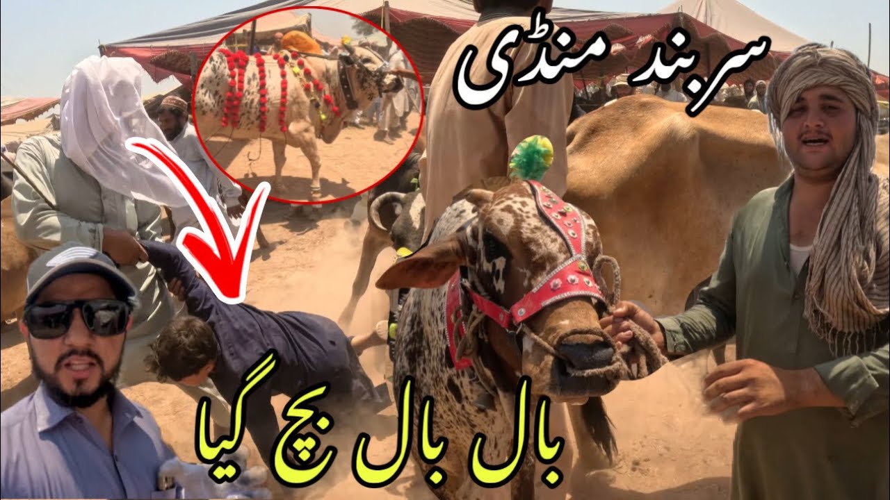 Sarband Mandi Bacha Bal Bal Bach Gya😳|Hammadkhan Vlogs|