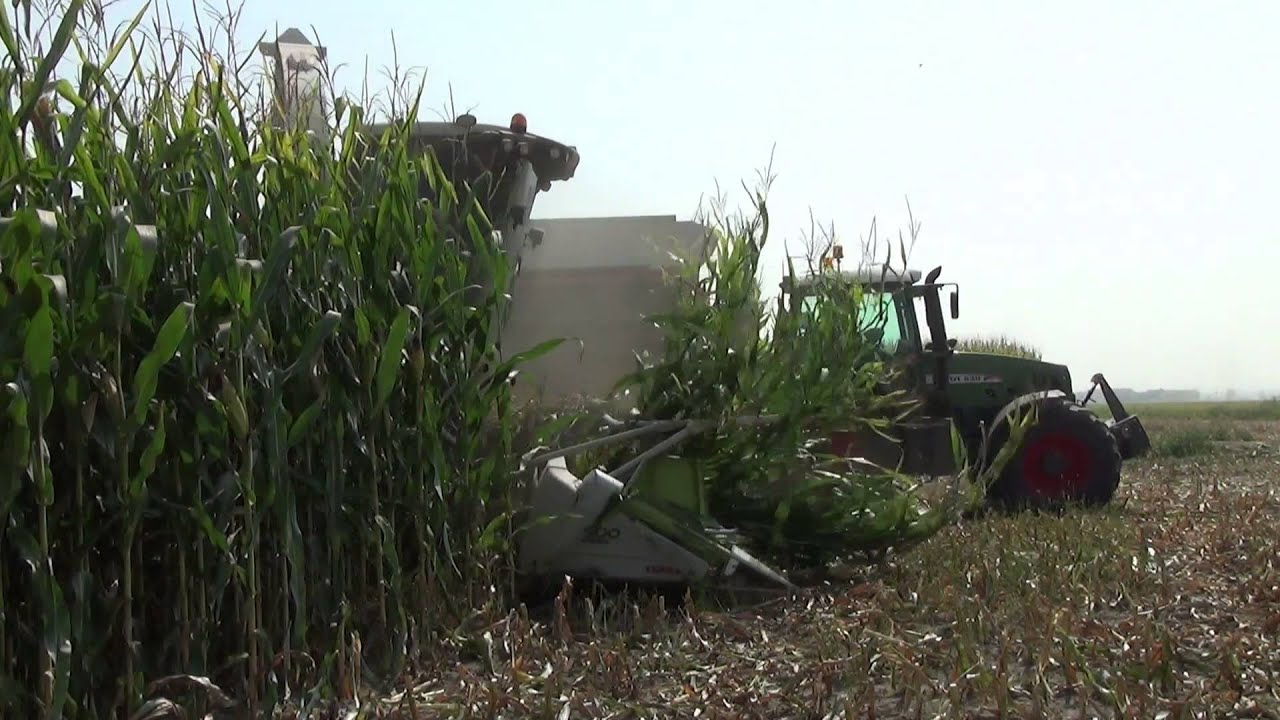 Trinciato Mais 2013. CLAAS Jaguar 960, Fendt 939,920,820,818,724,415, New Holland W190B ecc.